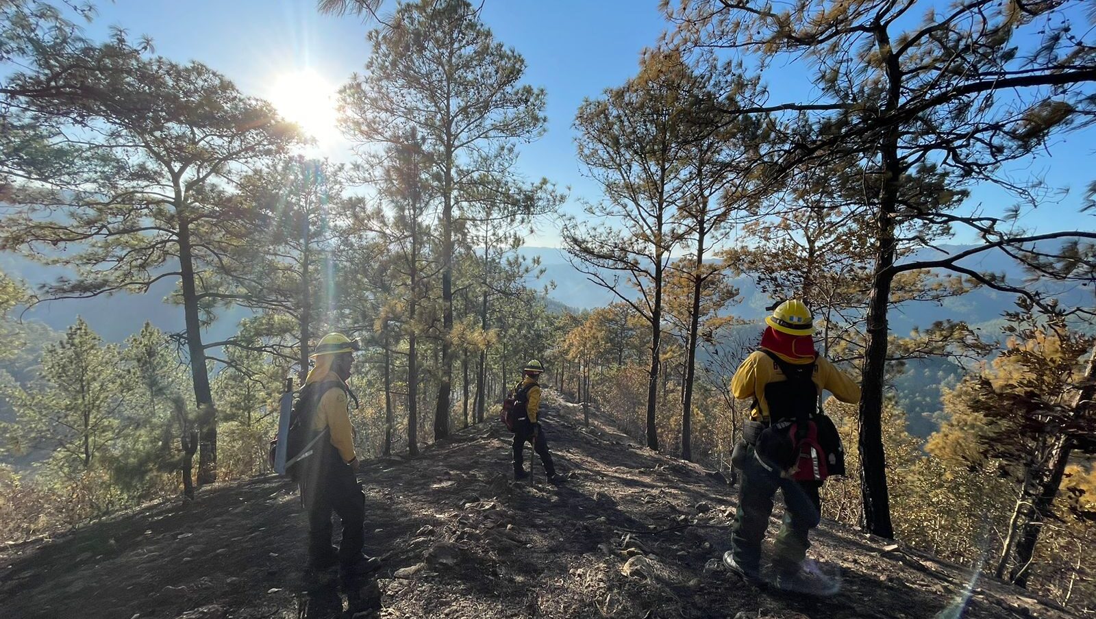 Brigadas en apresto para el combate de incendios forestales. / Foto: Conred.