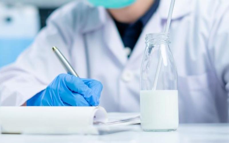 Empresas guatemaltecas de lácteos podrán exportar hacia Honduras
