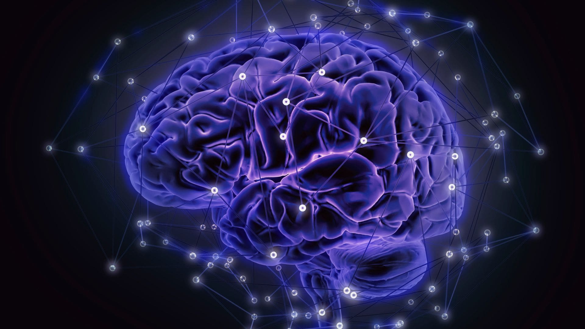 El mapa del cableado neuronal de un mamífero, el próximo gran reto de la neurociencia