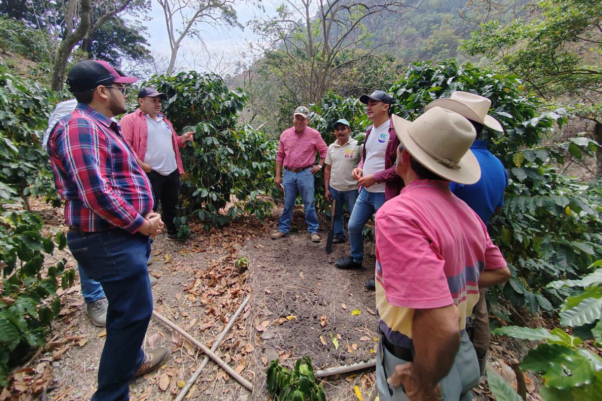 Promueven el fortalecimiento agrícola en el corredor seco