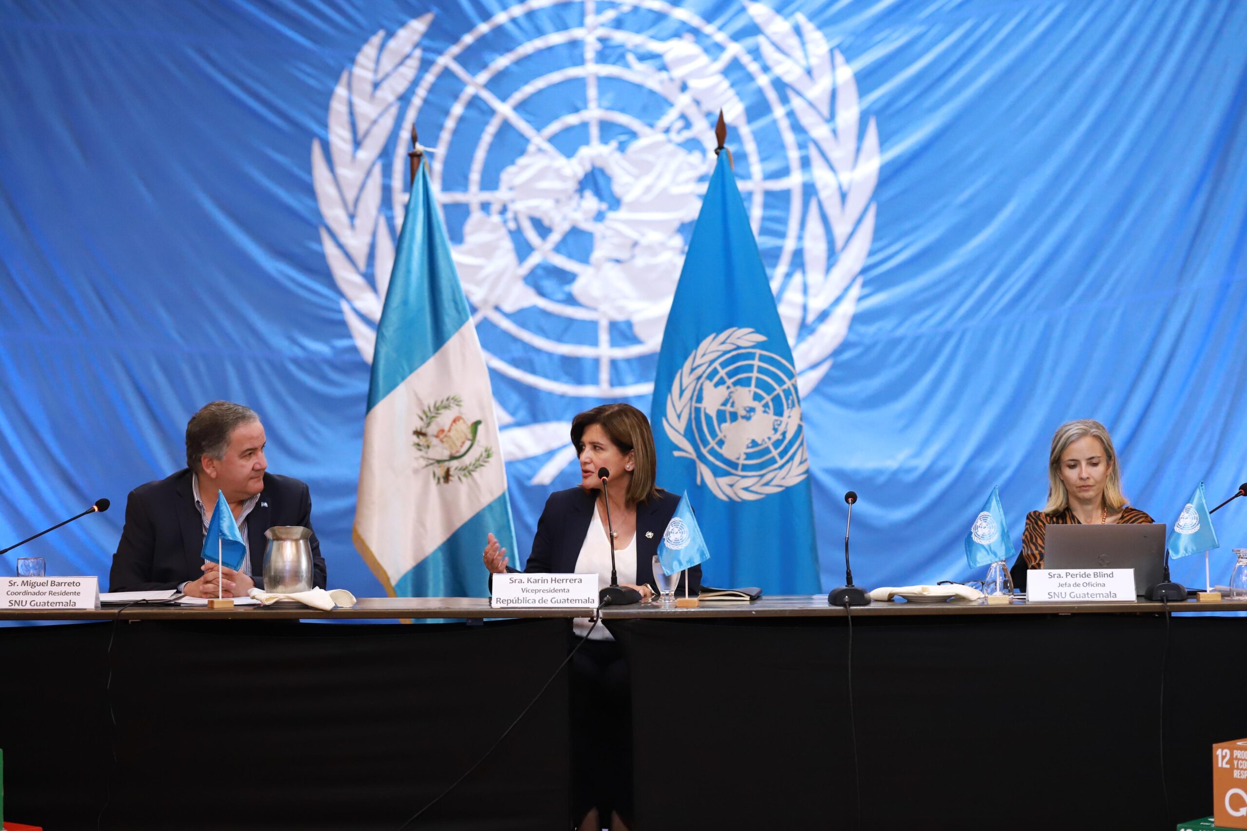 Gobierno busca cooperación continua con agencias de la ONU. / Foto: Vicepresidencia de la República.