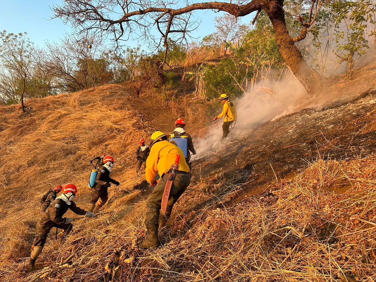 Coordinación interinstitucional permite controlar incendio en el volcán Las Víboras