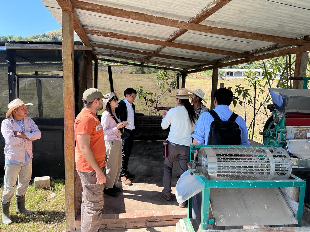 En Jalapa promueven prácticas agrícolas sostenibles para mejorar la competitividad del café