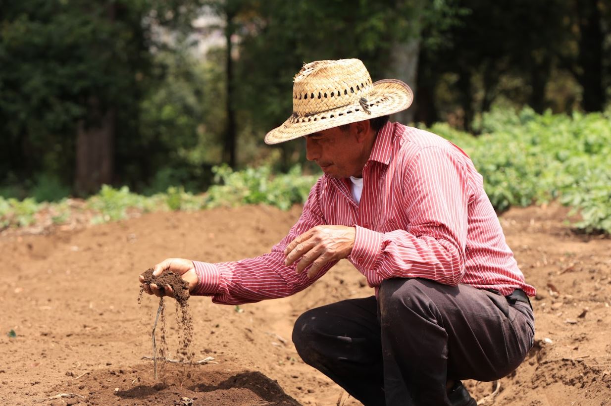 Cambio climático y recomendaciones para el sector agrícola