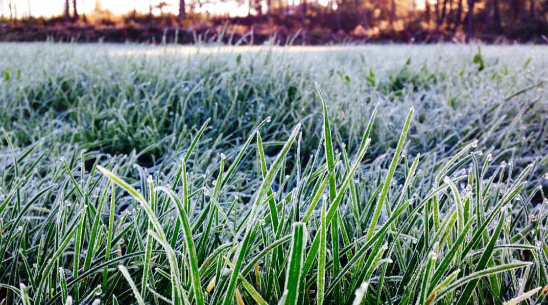 La colaboración activa del sector agropecuario al implementar estas recomendaciones se erige como la clave para superar los desafíos de febrero. / Foto: MAGA.
