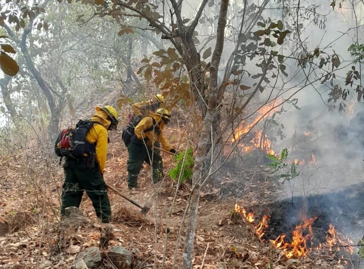 Conred reporta 22 incendios activos en todo el país