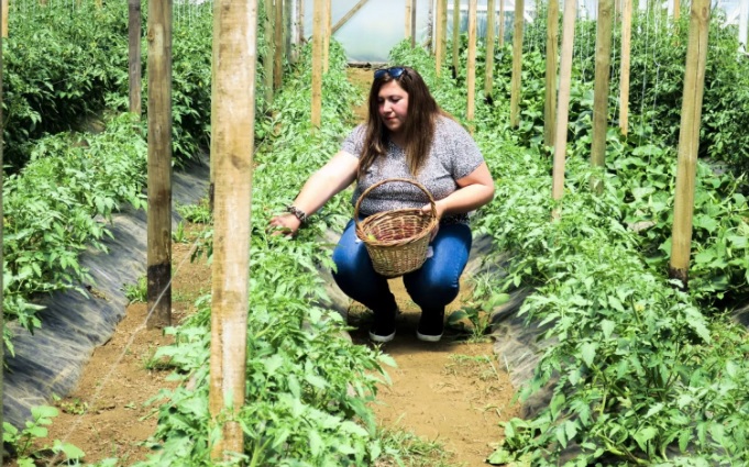 Cultivos ecológicos: mejor impacto ambiental si están agrupados