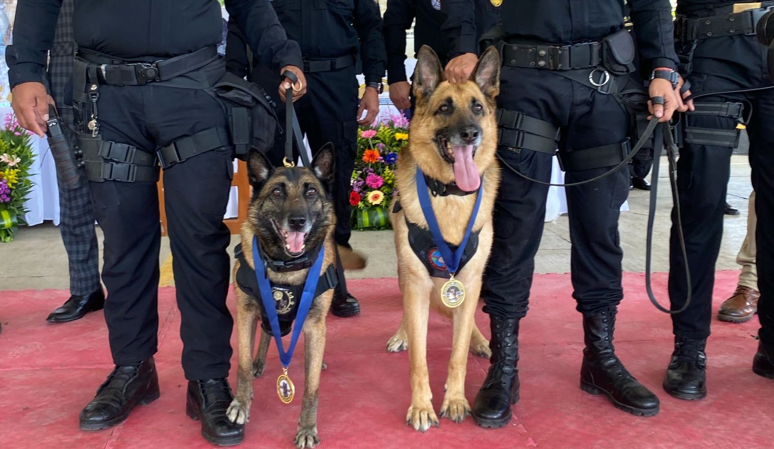 Tusa y su guía, ocho años de compromiso policial