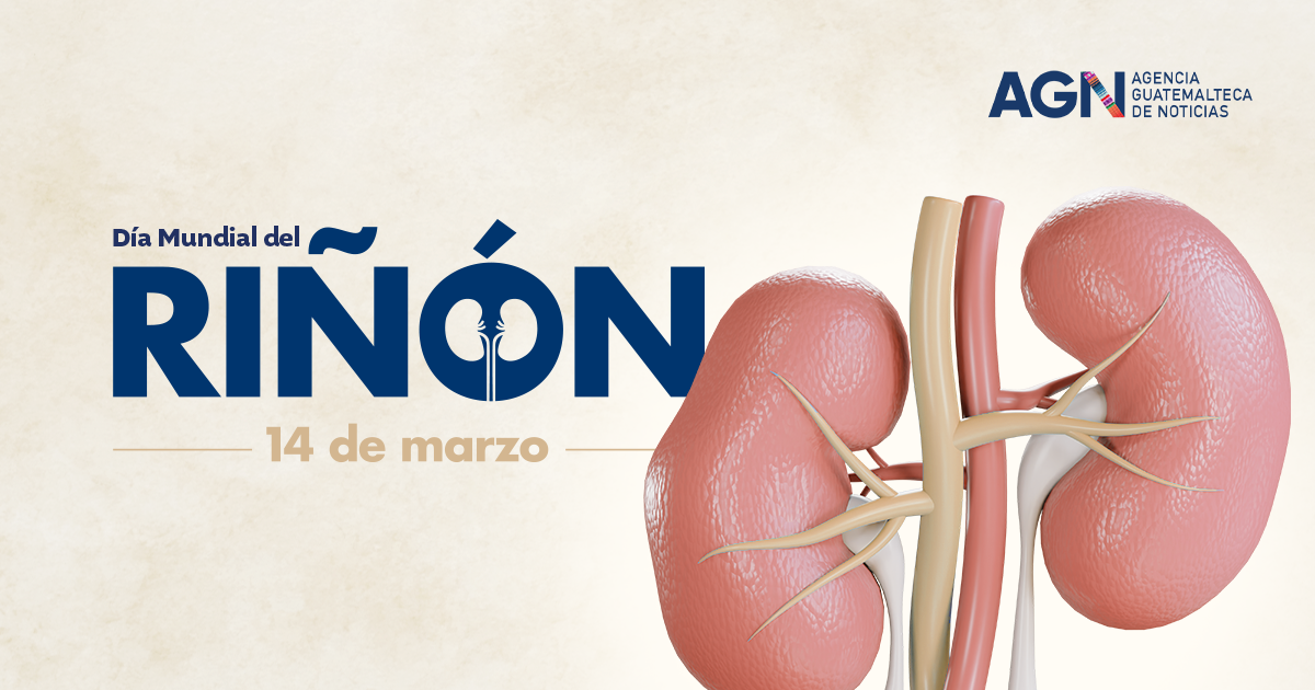 Día Mundial del Riñón: enfermedades renales son la quinta causa de muerte