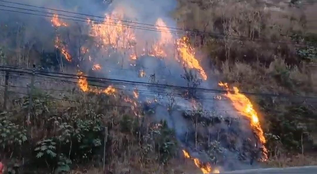 La Conred reporta 38 incendios en el país