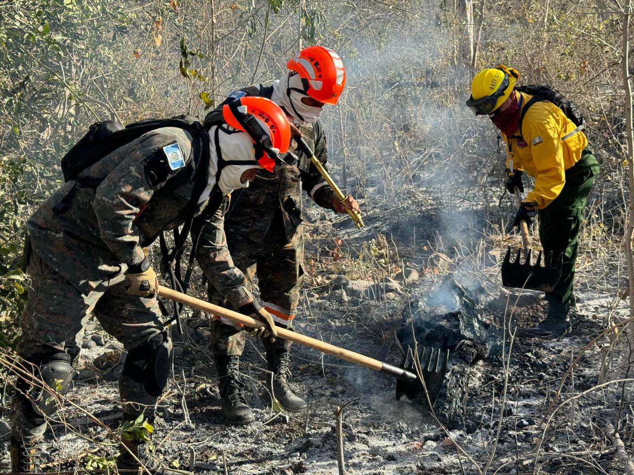 Conred coordina esfuerzos para sofocar incendios forestales. Foto. Conred.
