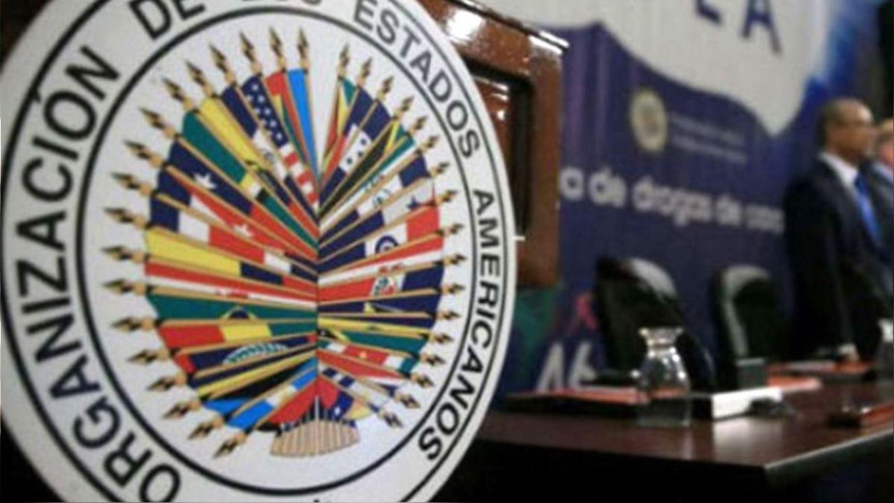 OEA celebra semana de los afrodescendientes en América. / Foto: América Economía.