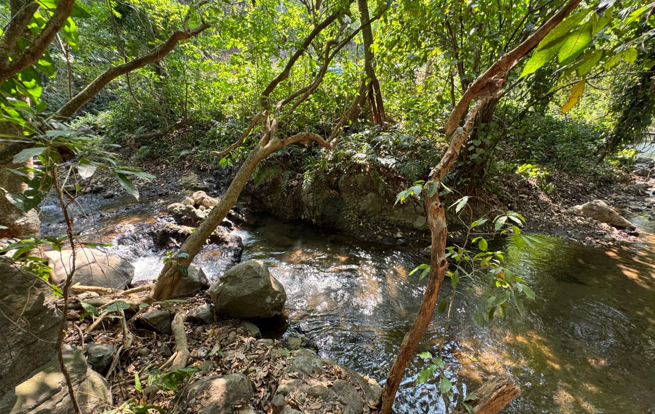 Conap resguarda la vida silvestre de reserva natural en Santa Rosa