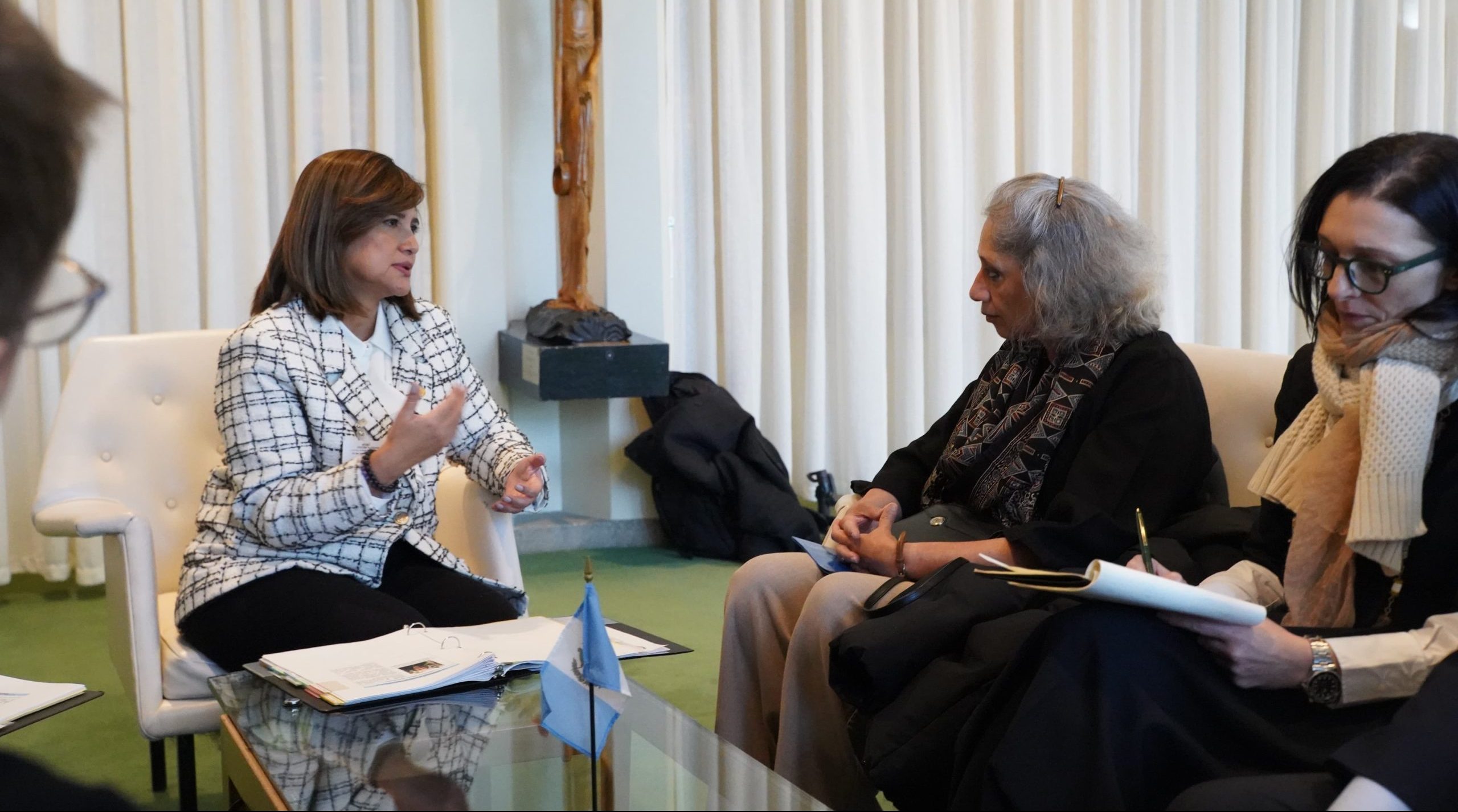Vicepresidenta aborda temas ambientales con autoridades de la ONU