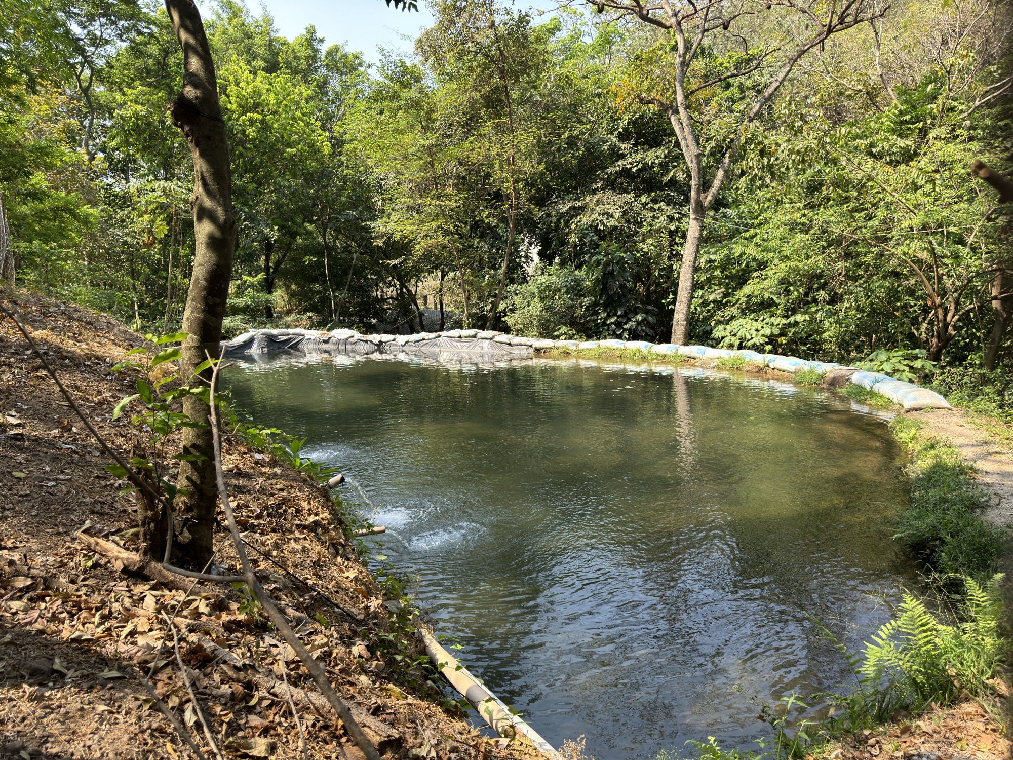 Reserva Natural Erhco Park, un oasis en el suroriente del país