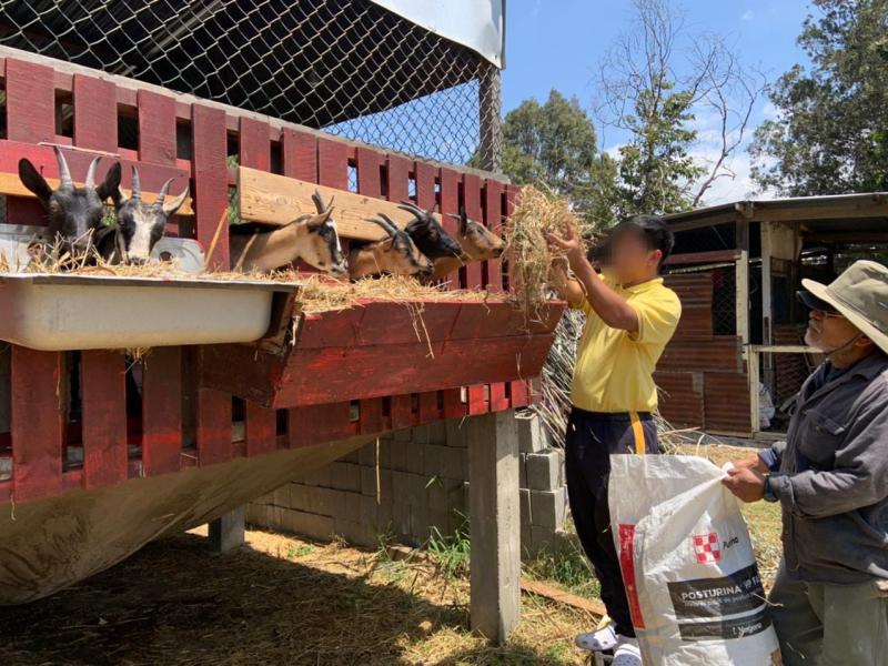 Además de la agricultura, conocieron sobre crianza de animales de granja. / Foto: MAGA.