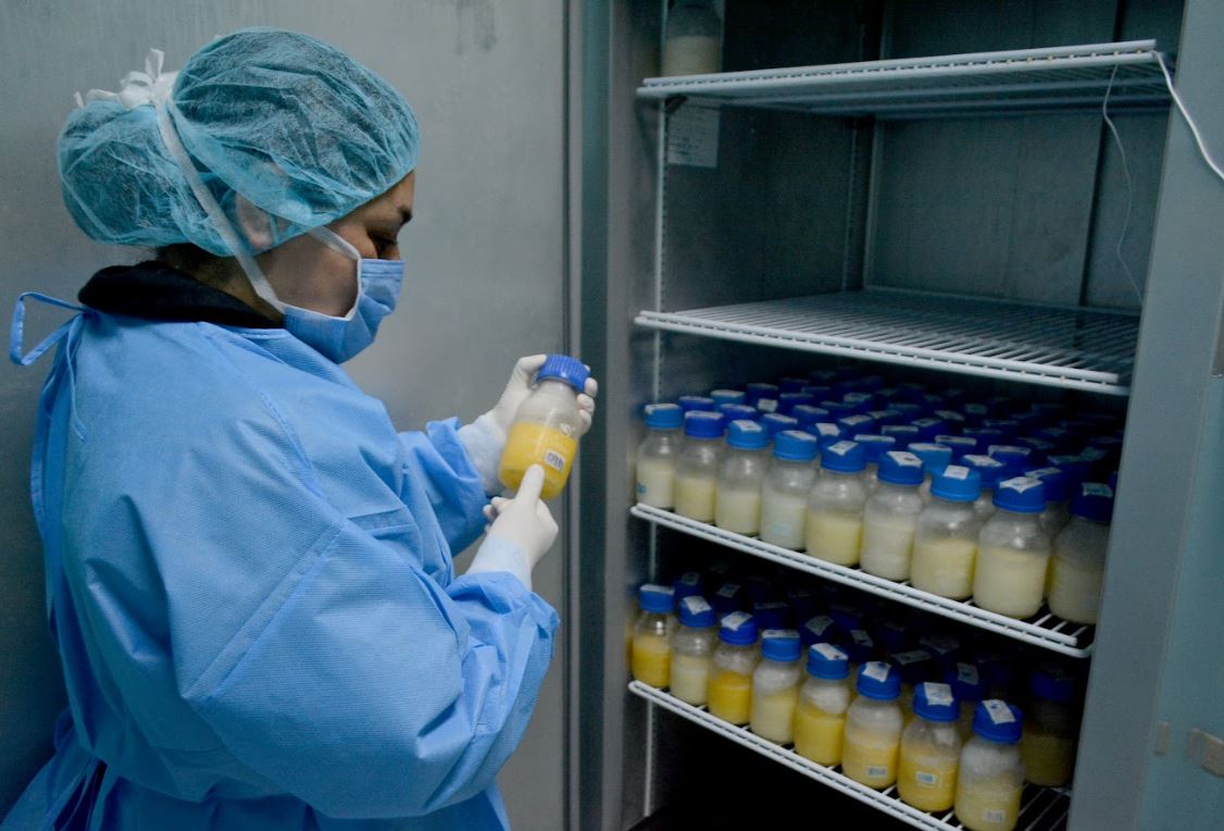 Más de 15 mil recién nacidos beneficiados con Banco de Leche del Hospital Pedro de Bethancourt