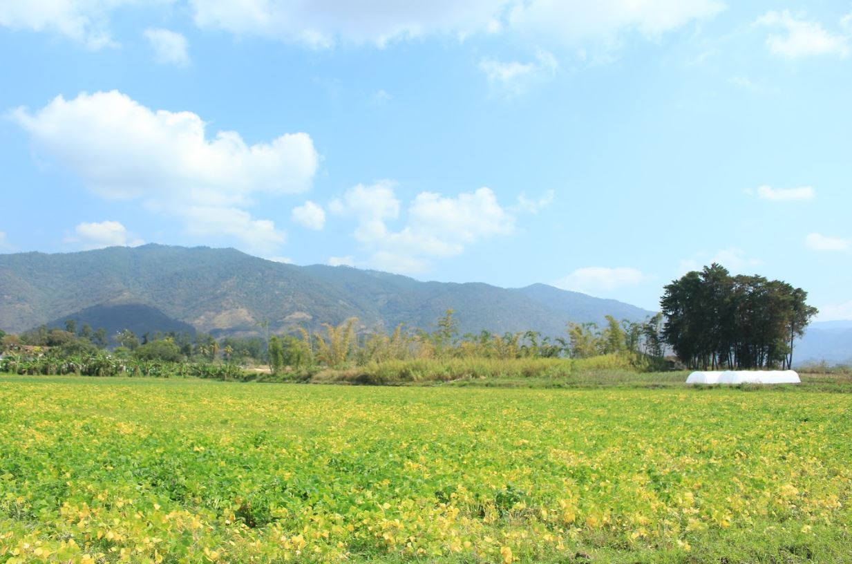 MAGA emite consejos para agricultores ante desafíos del calor