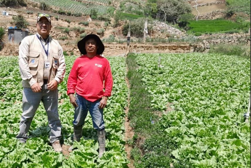 Agricultores de Almolonga fortalecen sus capacidades con parcelas de aprendizaje