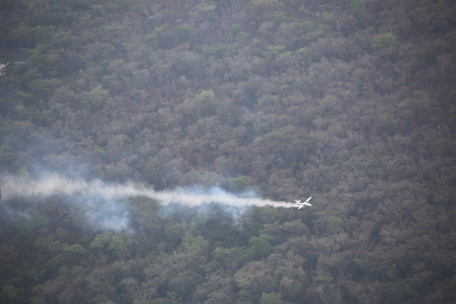Se-Conred coordina acciones inmediatas para sofocar incendios en el país