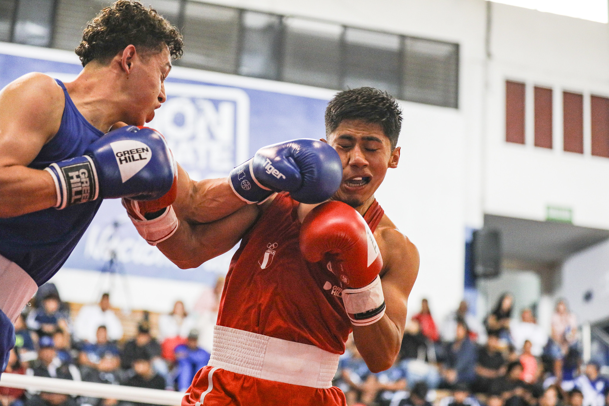 Golpes de campeones: Resumen del Campeonato Nacional de Boxeo Masculino Élite y Juvenil