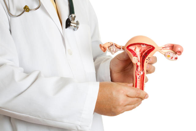 Aparato reproductor femenino muestra las trompas de Falopio. / Foto: Foto Yahoo Vida y Estilo.