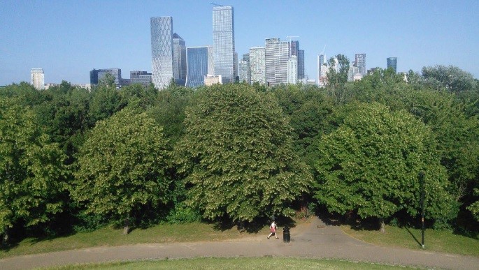 Bosques urbanos, una solución verde para oxigenar las grandes ciudades