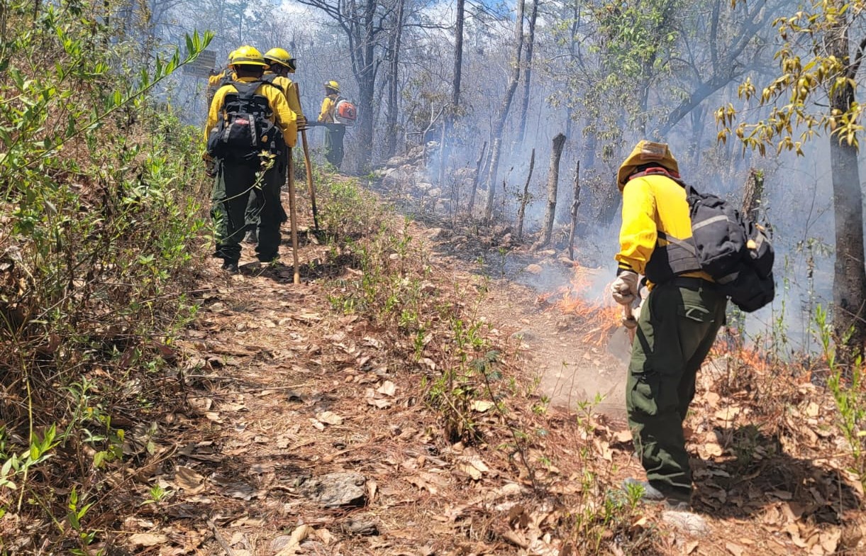 Pese a los esfuerzos de los bomberos forestales, siguen activos 45 incendios