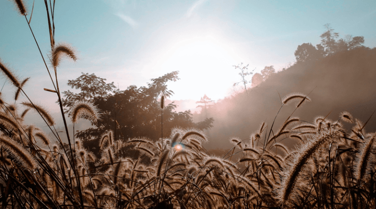 Guatemala registró en marzo las temperaturas más altas de los últimos 30 años