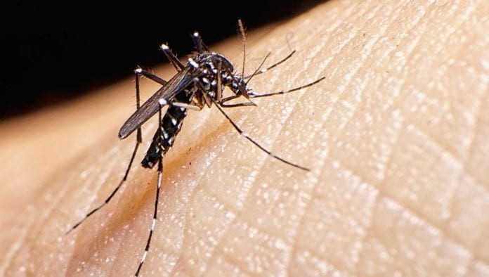 MSPAS pide prevenir en casa ante elevado registro de casos de dengue