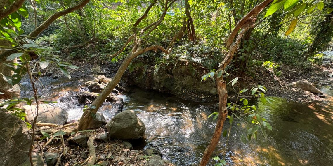 Conap invita a participar en el Reto Naturalista 2024