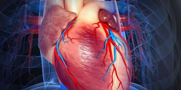 Descubren relación de angina de pecho con covid persistente. / Foto: Academia Nacional de Medicina de Colombia.