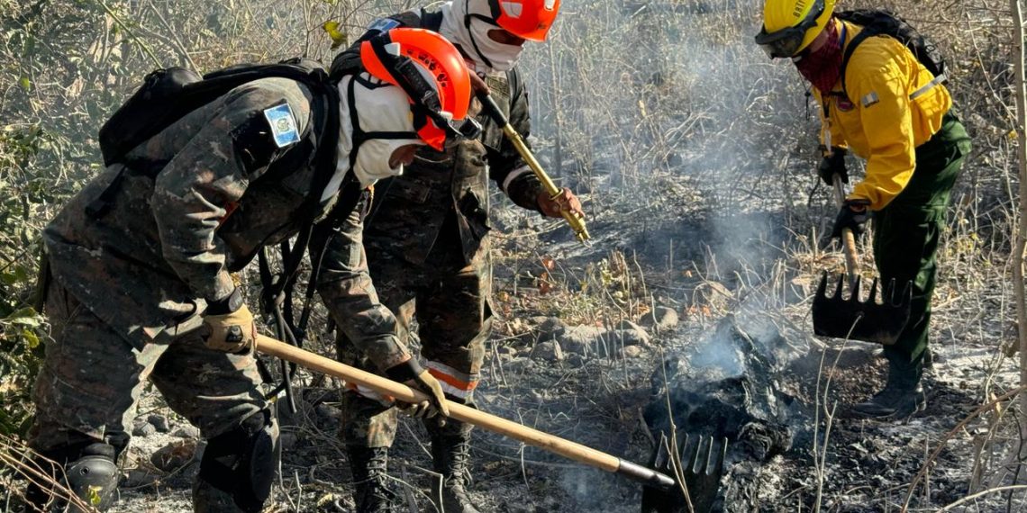Esfuerzos interinstitucionales para sofocar incendios forestales. / Foto: Conred.