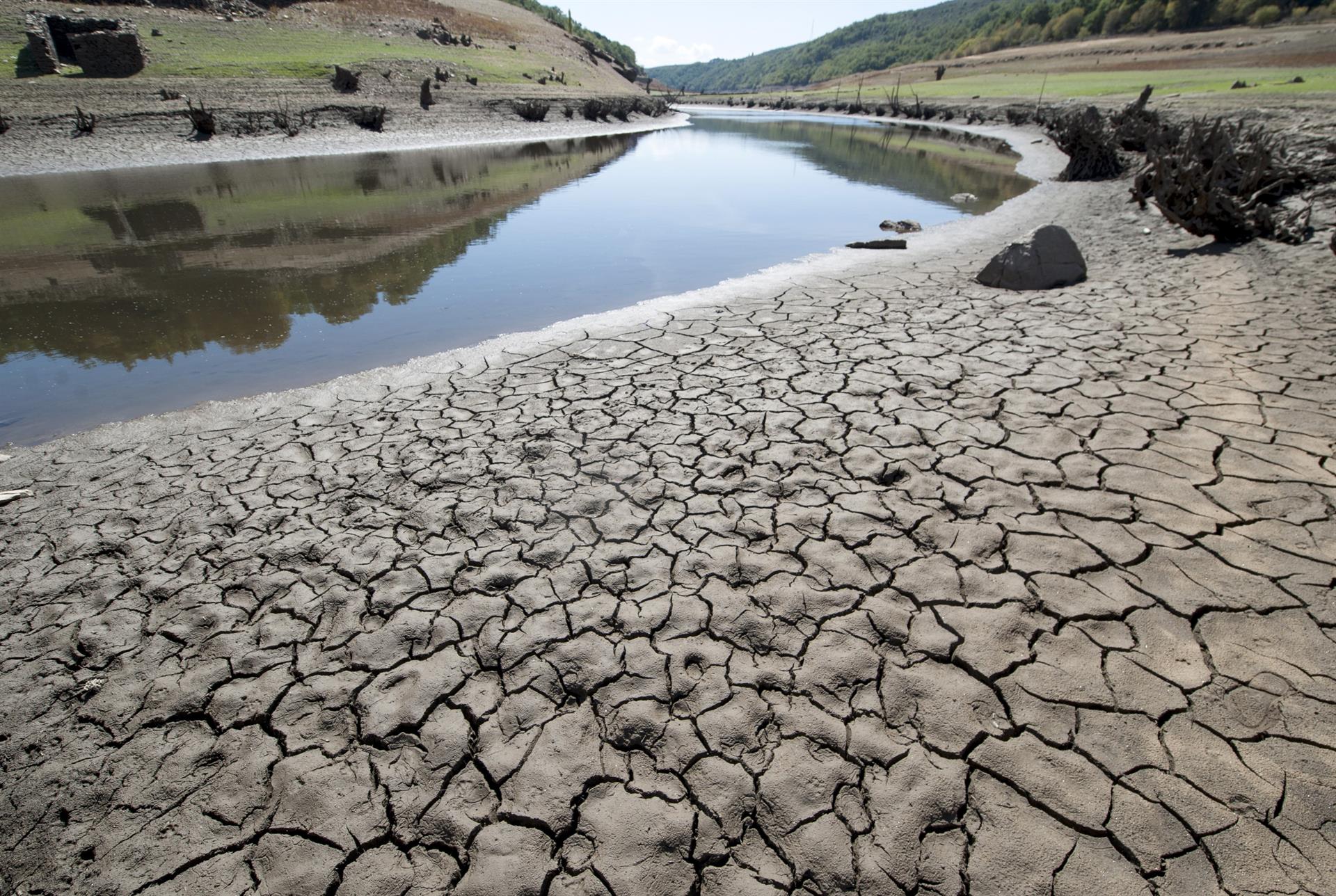 Fundación Bezos donará para combatir cambio climático. / Foto: EFEverde.