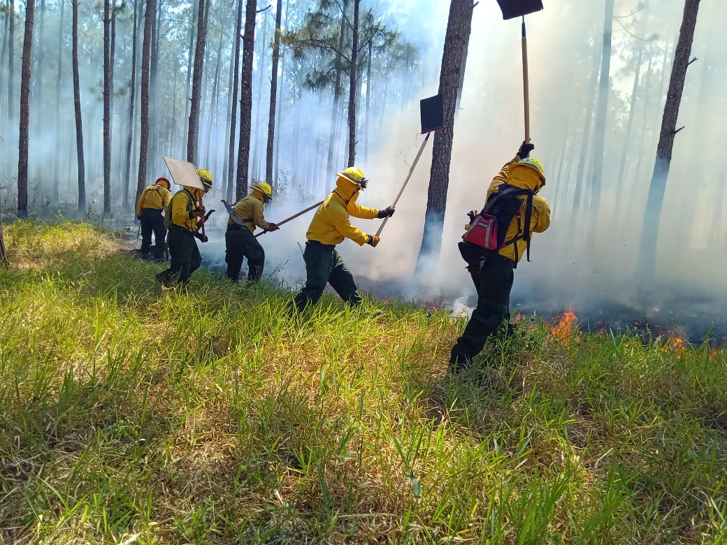 Combate de incendio forestal en Poptún, Petén. / Foto: Conred.