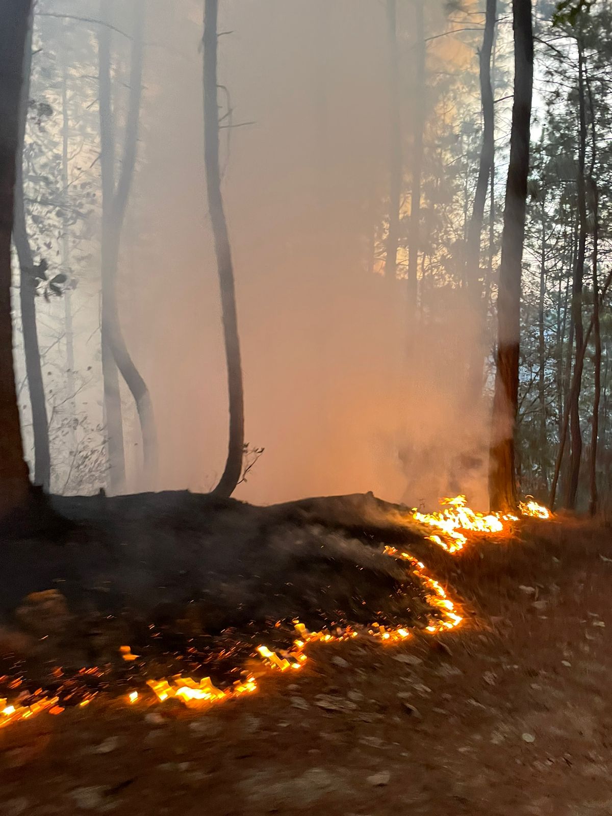 Establecen alianza estratégica para el combate de incendios