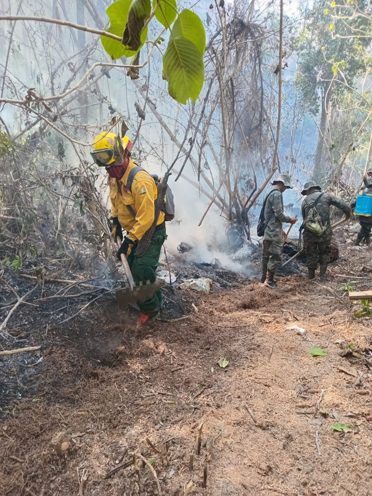 Conred reporta 131 incendios activos en el territorio nacional, la mayoría en Petén