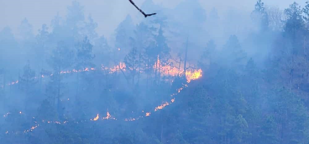 Conred reporta 35 incendios activos a nivel nacional