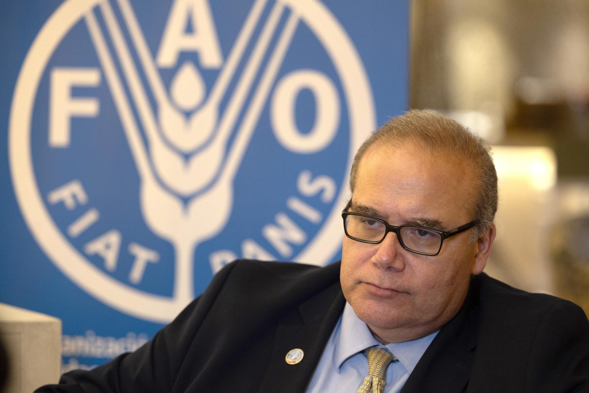 FAO quiere profundizar la cooperación con el nuevo Gobierno de Guatemala