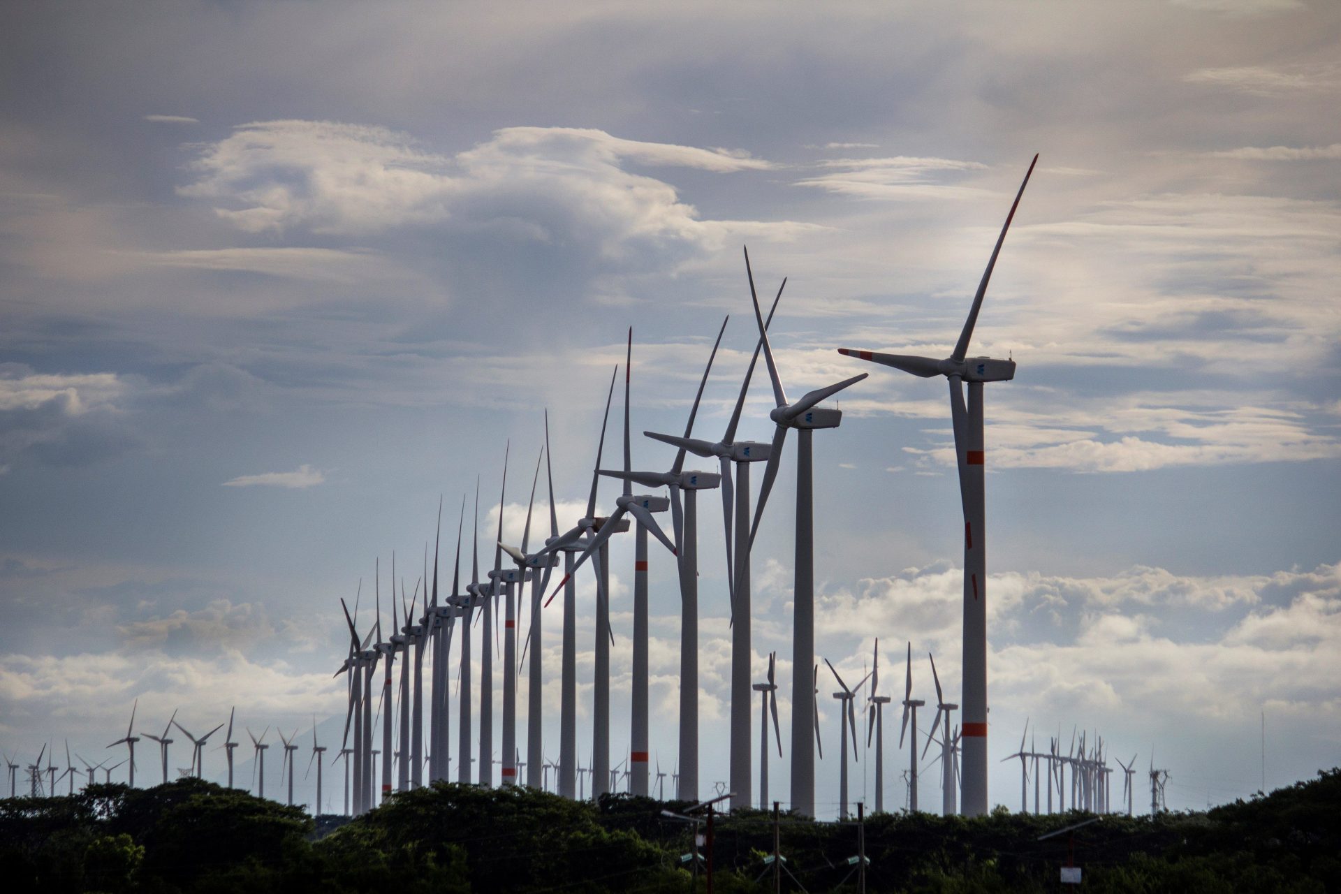 Mercado de energía eólica creció a nivel global en 2023. / Foto: EFEverde.