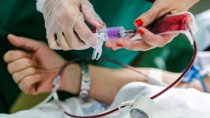 Una enzima transforma sangre del grupo A y B al O negativo, universalmente compatible