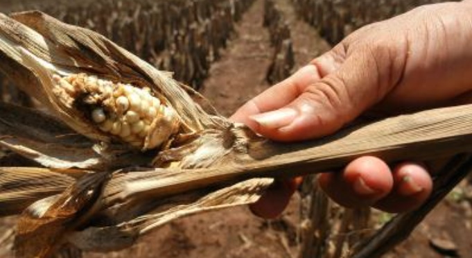 Más de 4 millones de personas en Triángulo Norte requieren ayuda alimentaria
