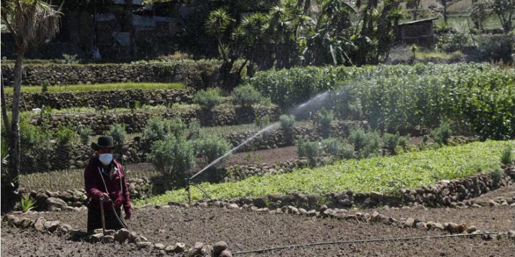 El MAGA busca fortalecer la capacidad de producción agrícola con sistemas de riego
