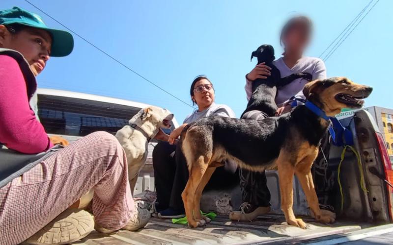 MAGA realizará jornada de esterilización y castración en Sumpango, Sacatepéquez el 29 y 30 de abril