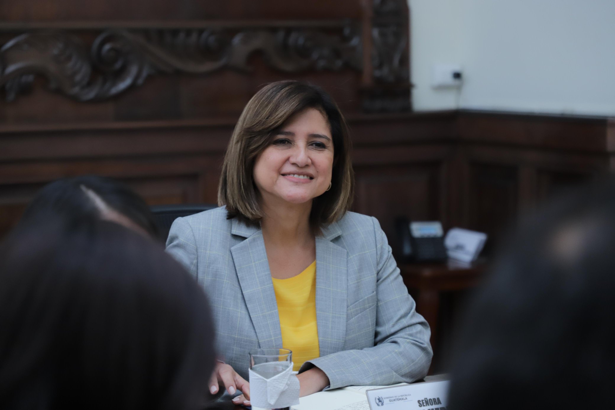 Vicepresidenta Karin Herrera