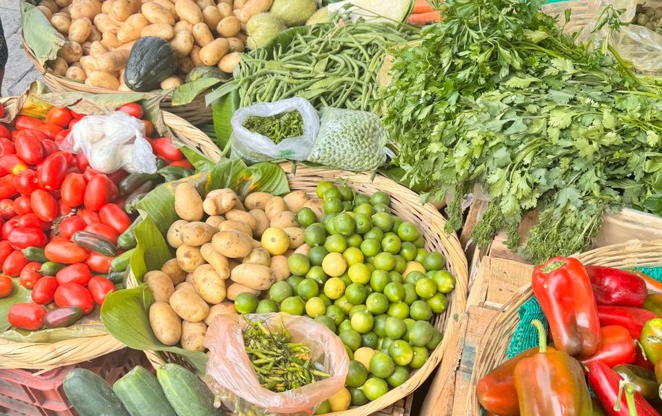 Canasta Básica Alimentaria reflejó una disminución en su precio. /Foto: AGN