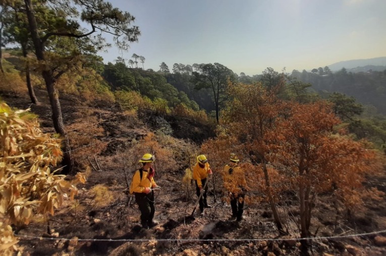 La Conred reporta avances en control de incendios forestales