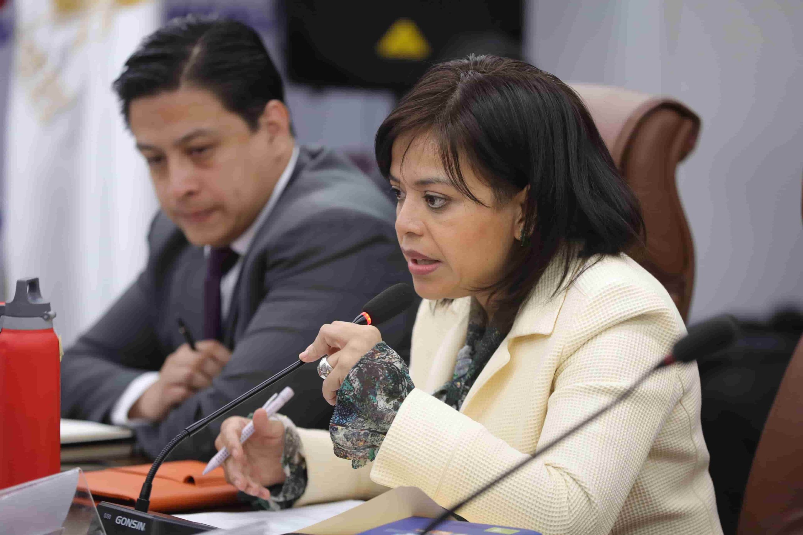La viceministra de la Unidad de Construcción de Edificios del Estado, Paola Constantino, fue quien dio a conocer sobre la denuncia. /Foto: CIV