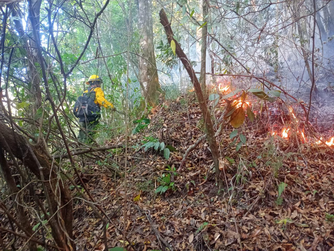 Garantizan la protección del medio ambiente y la seguridad de la población jalapaneca
