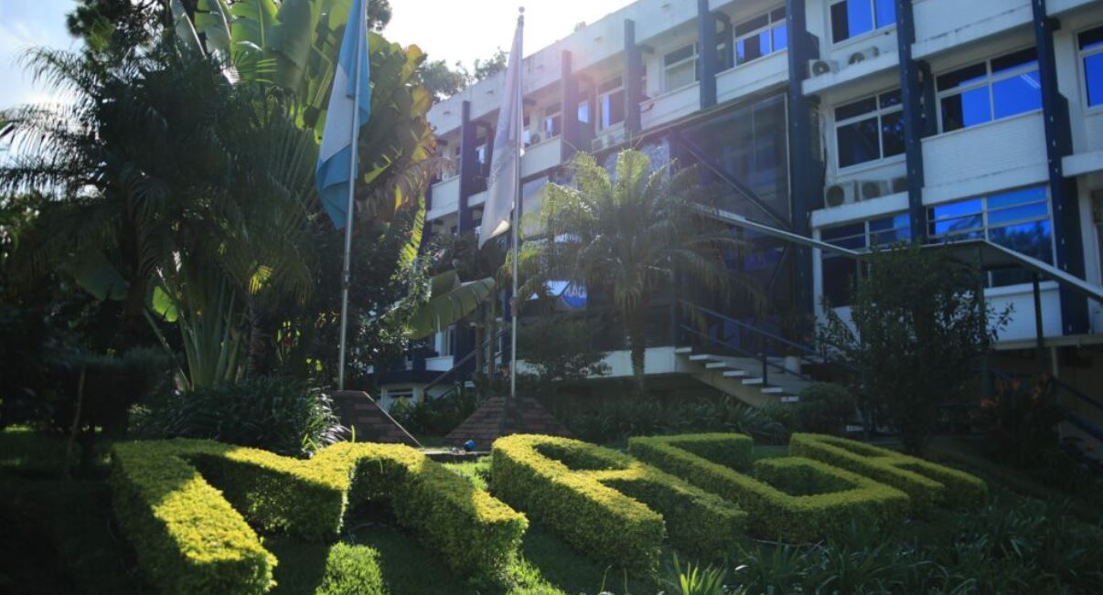 MAGA suspende actividades en edificio La Ceiba por contaminación del aire